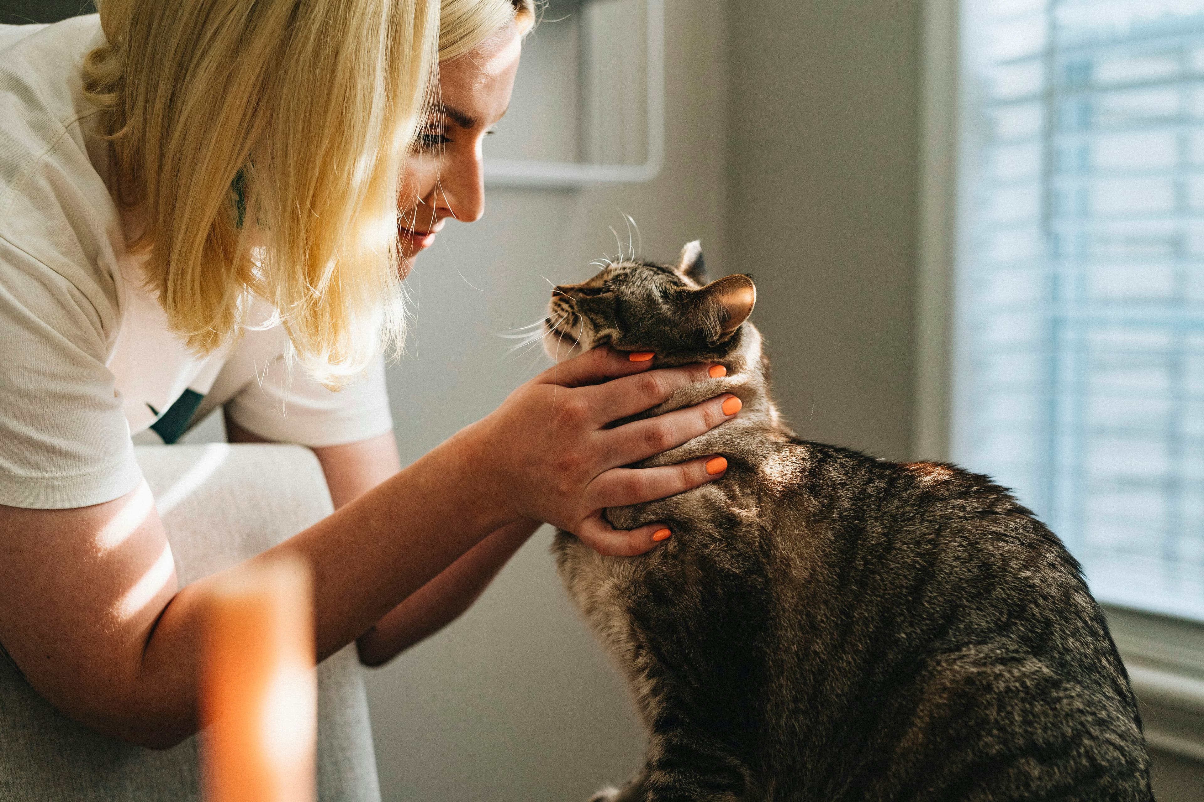 Veterinarian examining a dog gently